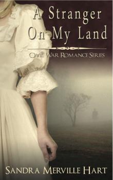 A Stranger On My Land - A Civil War Romance