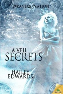 A Veil of Secrets Read online