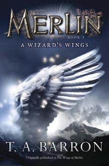 A Wizard's Wings Read online