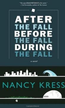 After the Fall, Before the Fall, During the Fall: A Novel Read online