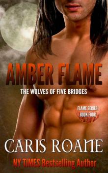 Amber Flame (The Flame Series Book 4) Read online