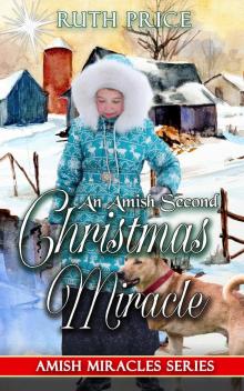 An Amish Second Christmas Miracle Read online