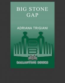 Big Stone Gap Read online