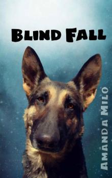 Blind Fall Read online