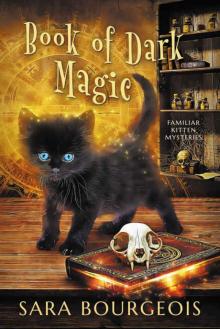 Book of Dark Magic Read online