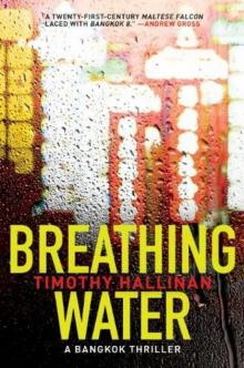 Breathing Water: A Bangkok Thriller pr-3 Read online