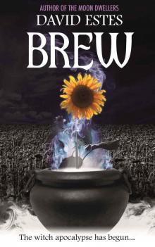 Brew (Salem's Revenge Book 1) Read online