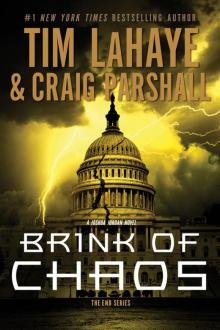 Brink of Chaos Read online