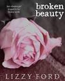 Broken Beauty: Part One, Broken Beauty Novellas