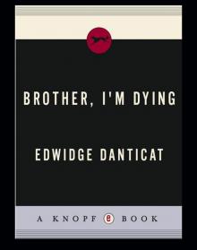 Brother, I'm Dying Read online