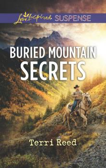 Buried Mountain Secrets Read online