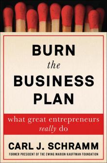 Burn the Business Plan Read online