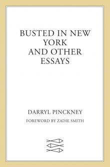 Busted in New York and Other Essays Read online