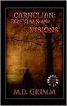 Carnelian- Dreams and Visions Read online