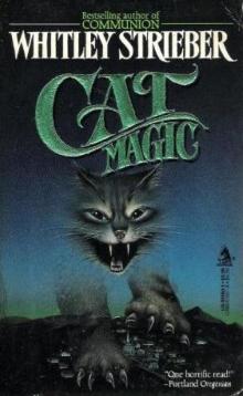 Cat Magic Read online