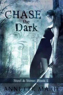 Chase the Dark (Steel & Stone Book 1) Read online