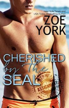 Cherished by the SEAL (Hot Caribbean Nights Book 4)