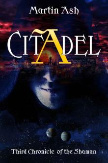 Citadel Read online