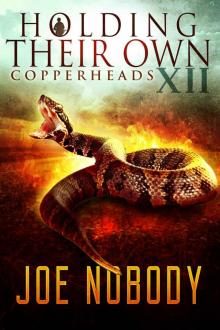 Copperheads - 12 Read online