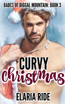 Curvy Christmas (Babes of Biggal Mountain Book 3) Read online