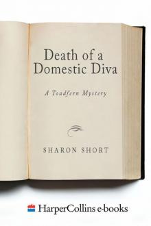 Death of a Domestic Diva Read online