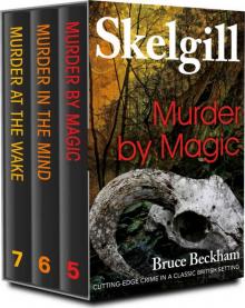 Detective Inspector Skelgill Boxset 2 Read online