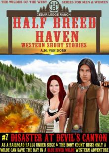 Disaster At Devil's Canyon: Blue River Wilde Western Adventure (Half Breed Haven Book 7) Read online