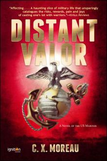 Distant Valor Read online