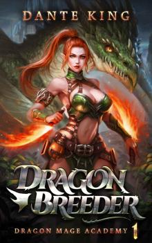 Dragon Breeder 1 Read online