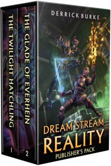 Dream Stream Reality: Publisher's Pack Books 1-2: (A LitRPG Adventure) Read online