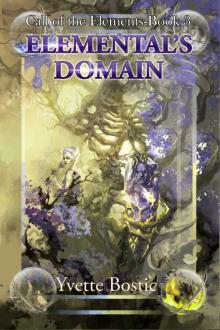 Elemental's Domain Read online