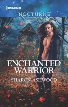 Enchanted Warrior Read online