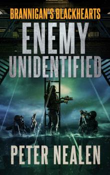 Enemy Unidentified (Brannigan's Blackhearts Book 3) Read online