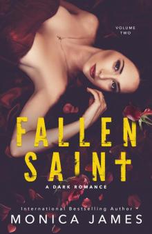 Fallen Saint (All the Pretty Things Trilogy Volume 2) Read online