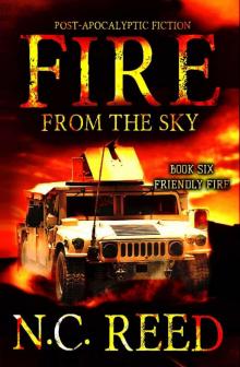 Fire From the Sky: Friendly Fire Read online
