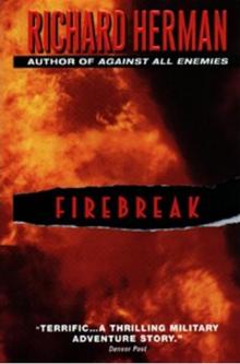 Firebreak Read online