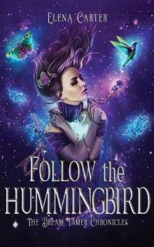 Follow the Hummingbird (The Dream Tamer Chronicles Book 1) Read online