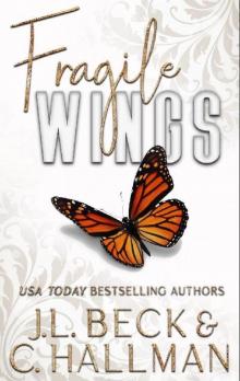 Fragile Wings: Broken Beginnings Prequel Read online