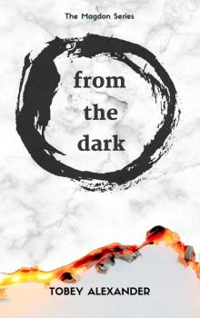 From The Dark Read online