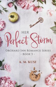 Her Perfect Storm Read online