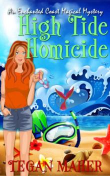 High Tide Homicide Read online