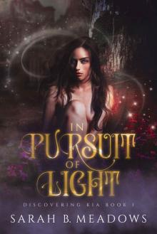 In Pursuit of Light Read online