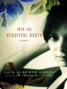 Into the Beautiful North Read online