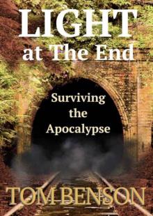 Light At The End | Book 1 | Surviving The Apocalypse Read online