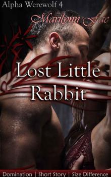 Lost Little Rabbit Read online