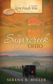 Love Finds You in Sugarcreek, Ohio Read online