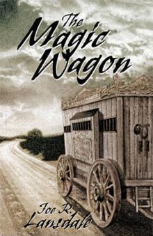 Magic Wagon Read online