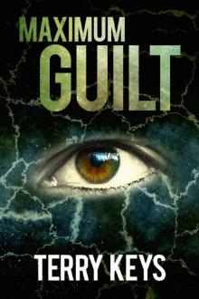 Maximum Guilt (Hidden Guilt Book 2) Read online