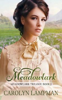 Meadowlark Read online
