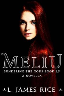 Meliu Read online